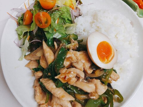 鶏むね肉とピーマンとなすのガパオライス風